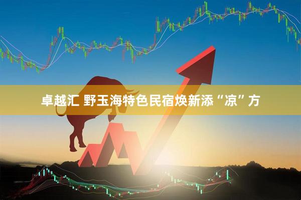 卓越汇 野玉海特色民宿焕新添“凉”方