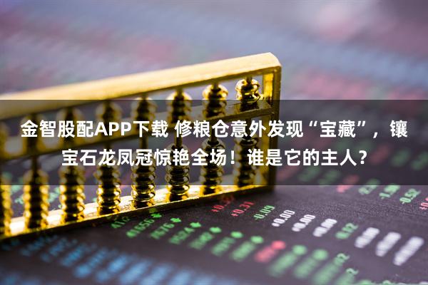 金智股配APP下载 修粮仓意外发现“宝藏”，镶宝石龙凤冠惊艳全场！谁是它的主人？